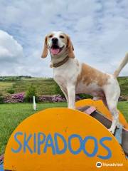 Skipadoos - The secure dog field - Bolton