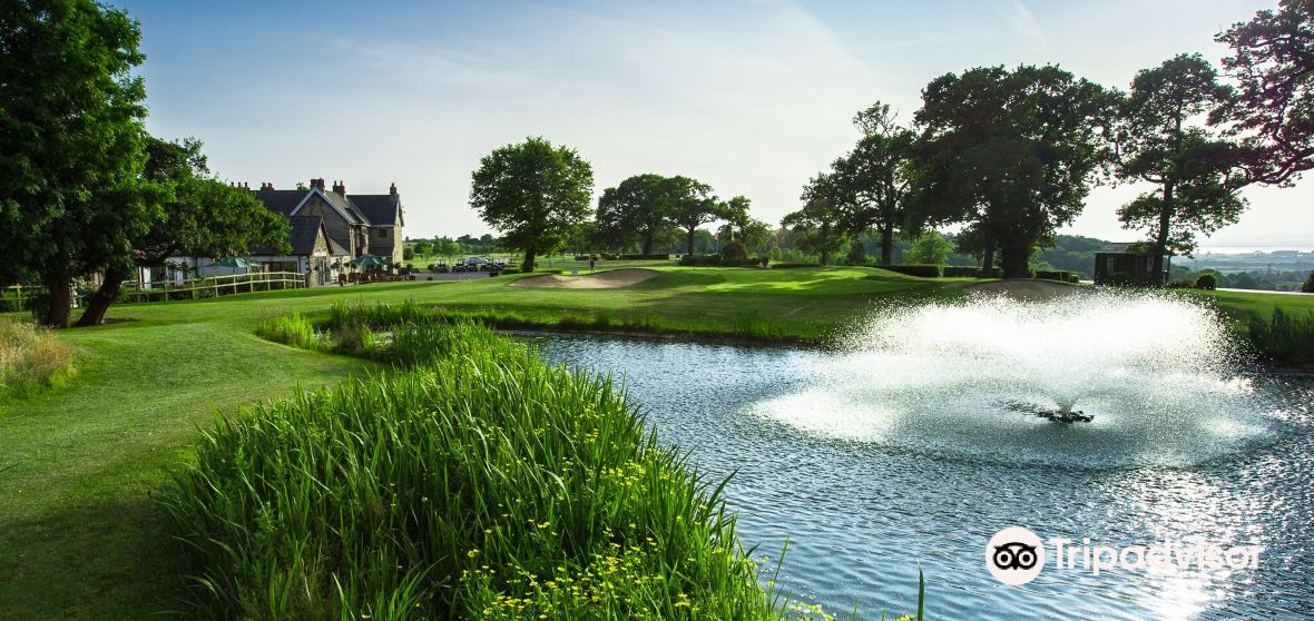 Things to Do in Cribbs Causeway in 2024 Top Attractions, Local Food