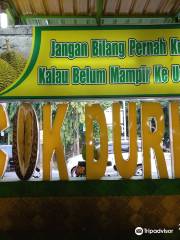 UCOK DURIAN MEDAN