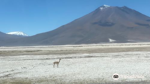 Salar de Ascotan