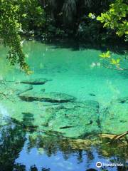 Parque Ecológico Ojos Indígenas