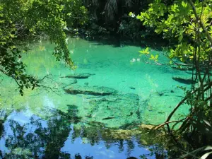 Parque Ecológico Ojos Indígenas