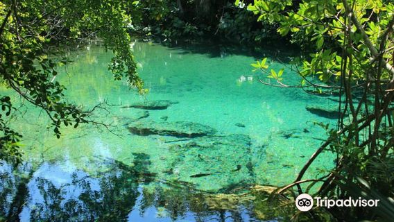 Parque Ecológico Ojos Indígenas