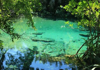 Parque Ecológico Ojos Indígenas