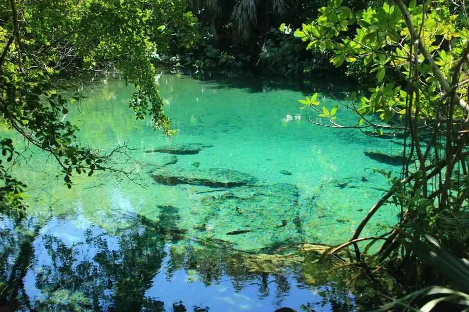 Hotels near Reserva Ecologica Ojos Indigenas (Los Ojos Eco Journey)