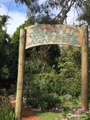 Margaret River Organic Garden