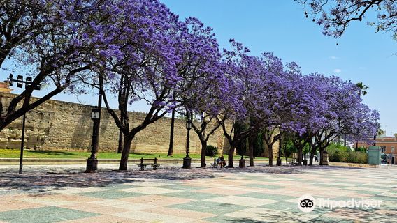 Jerez De La Frontera