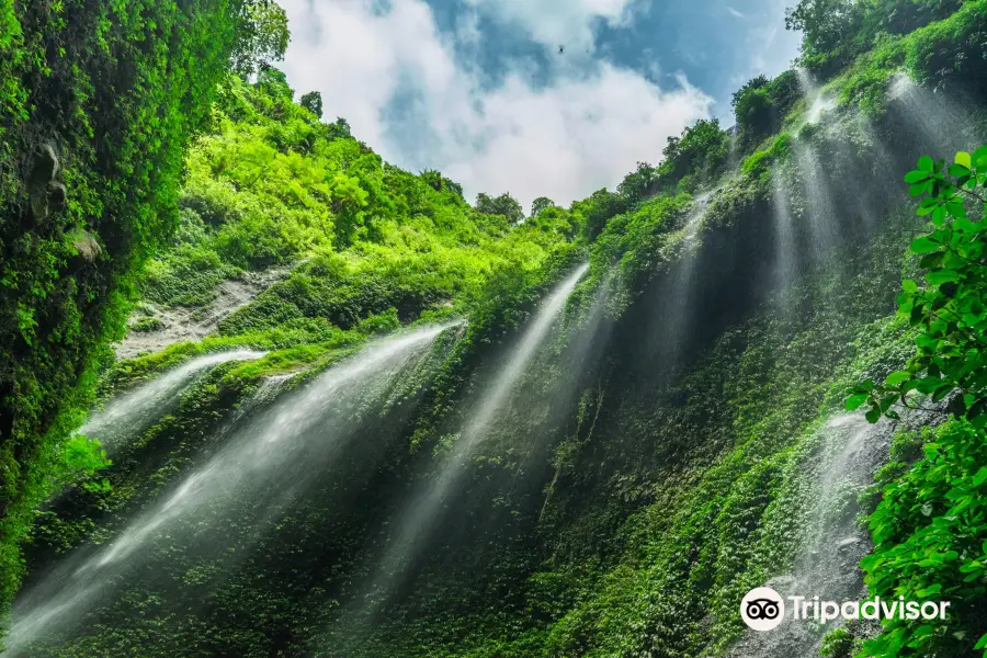 Madakaripura Waterfall