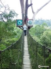 Bangkirai Hill Nature Tourism