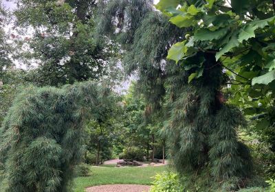 Secrest Arboretum