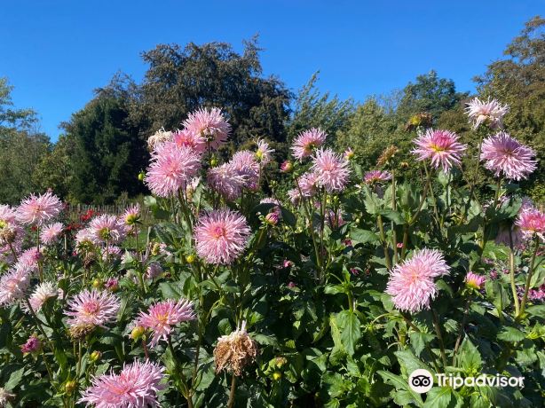 Botanical Garden