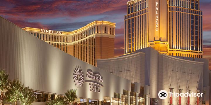 The Venetian Expo
