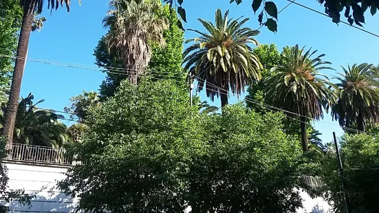 Orto Botanico di Napoli