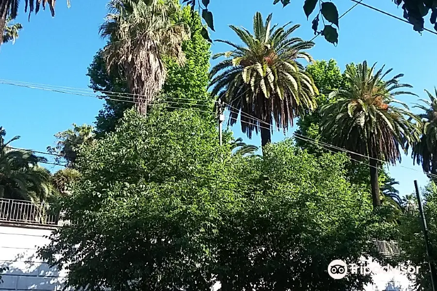 Jardin botanique de Naples