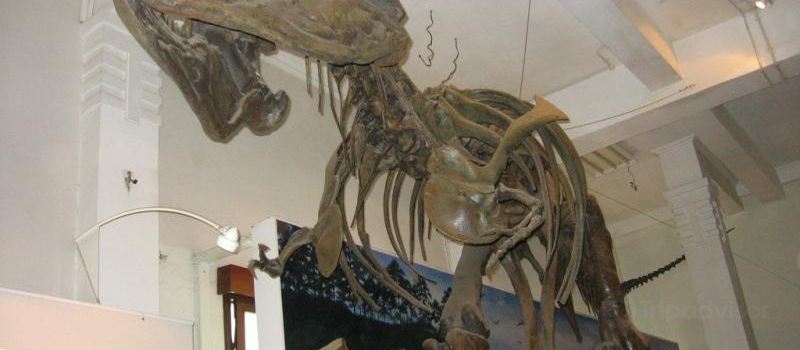Museum Geologi