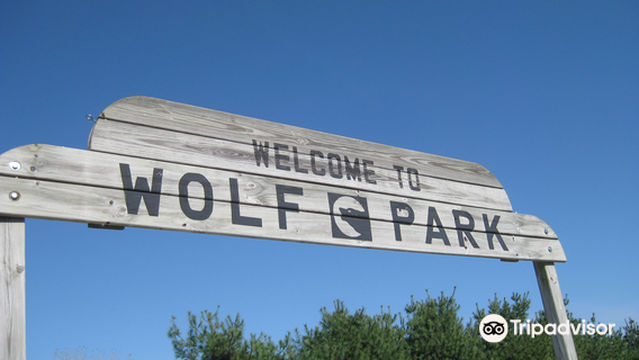 Wolf Park