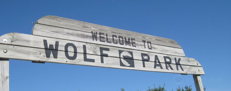 Wolf Park