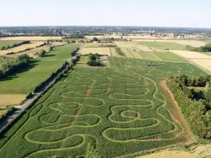 Labyrinthe en Délire