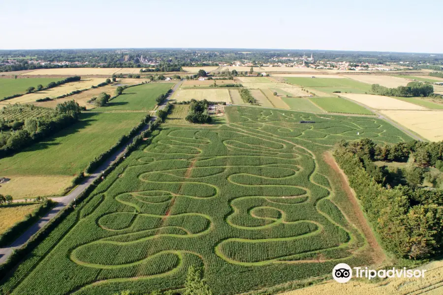 Labyrinthe en Délire