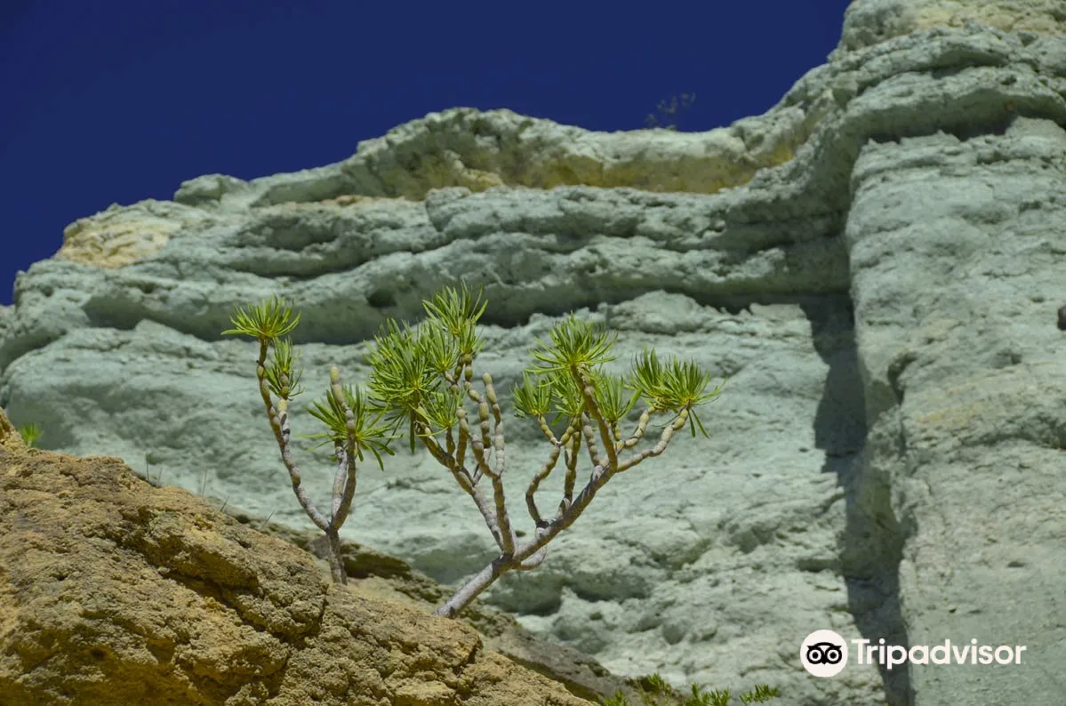 4_Los Azulejos de Veneguera