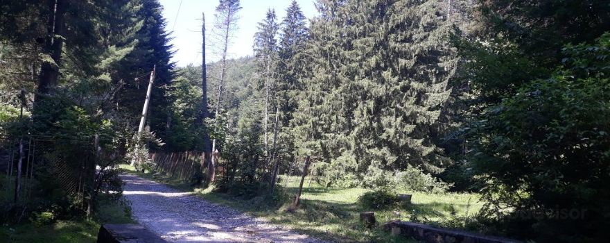 Semenic-Cheile Carașului National Park