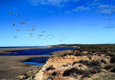 Puerto Piramides