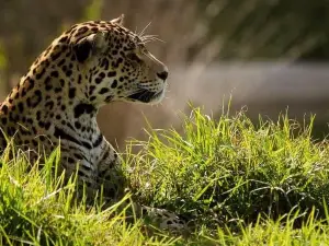 Jukani Wildlife Sanctuary