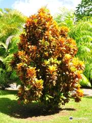 Jardín botánico de Dominica