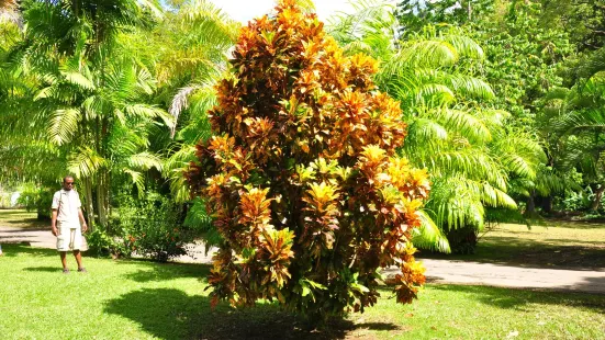 Dominica Botanic Gardens