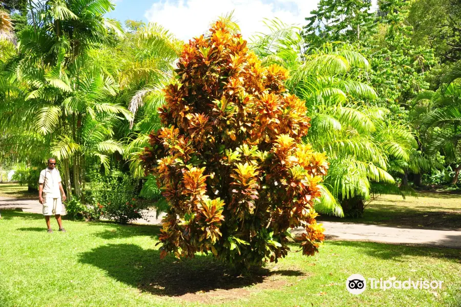 Dominica Botanic Gardens