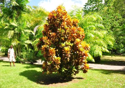 Jardín botánico de Dominica