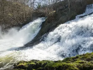 Les Cascades de Coo