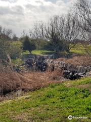 Parque Forestal de Valdebebas - Felipe VI