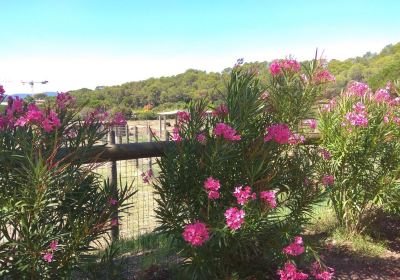 Parc Zoologique de Frejus