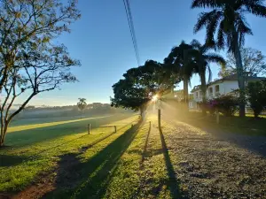 Parque Newton Puppi