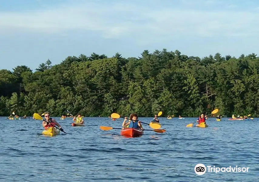 Billington Sea Kayak