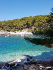 beach Veli Žal