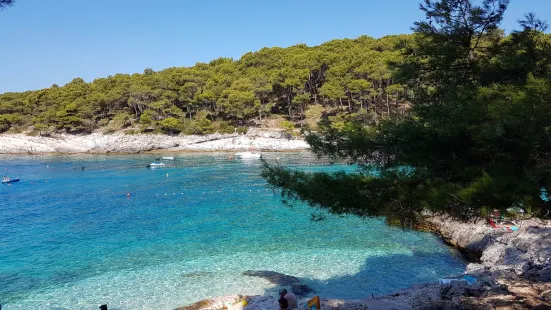 beach Veli Žal