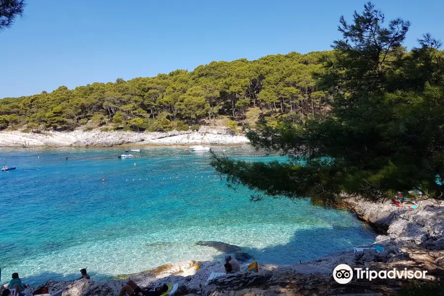 beach Veli Žal