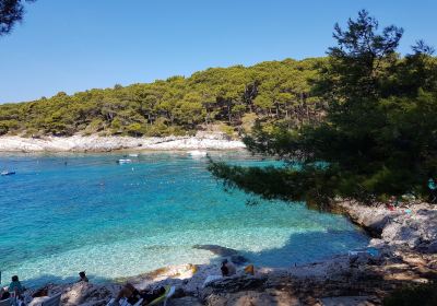 beach Veli Žal