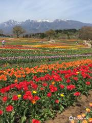 Nasu Flower World