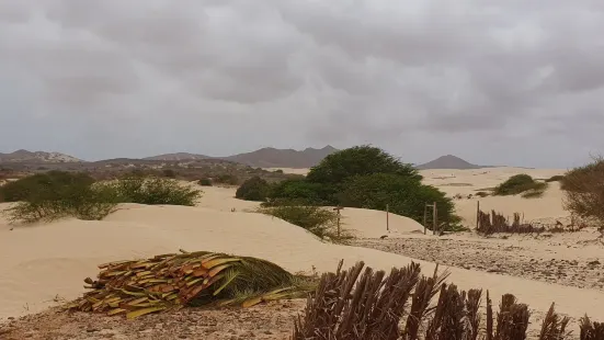 Deserto de Viana