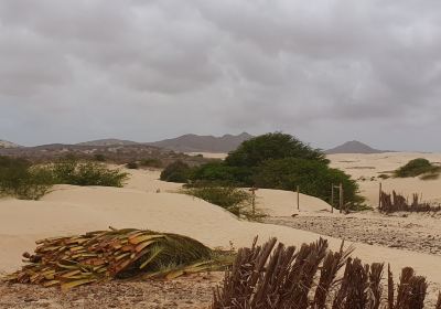 Deserto de Viana