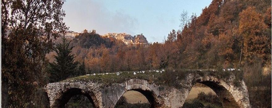 Buonalbergo