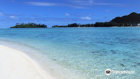 Koka Lagoon Cruises