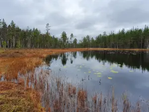 Hamra National Park