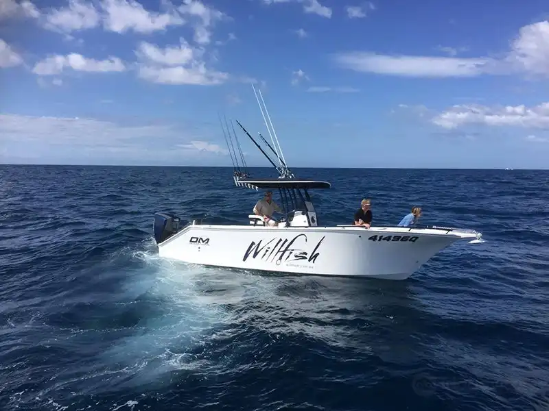 Hotels near Willfish