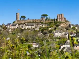 Château de Turenne