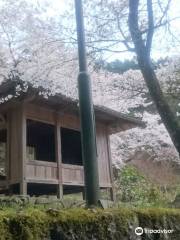 禹門山 龍澤寺