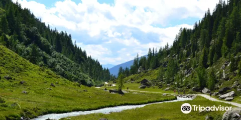 Valli di Tures e Aurina